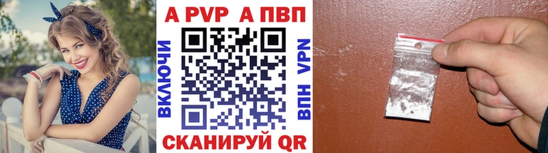 А ПВП СК КРИС  Багратионовск 