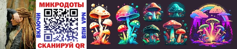 Псилоцибиновые грибы Psilocybine cubensis  где купить наркотик  Багратионовск 