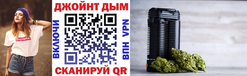 Канабис планчик Багратионовск